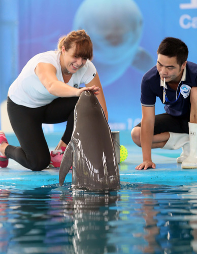 每一次防守 每一次防守