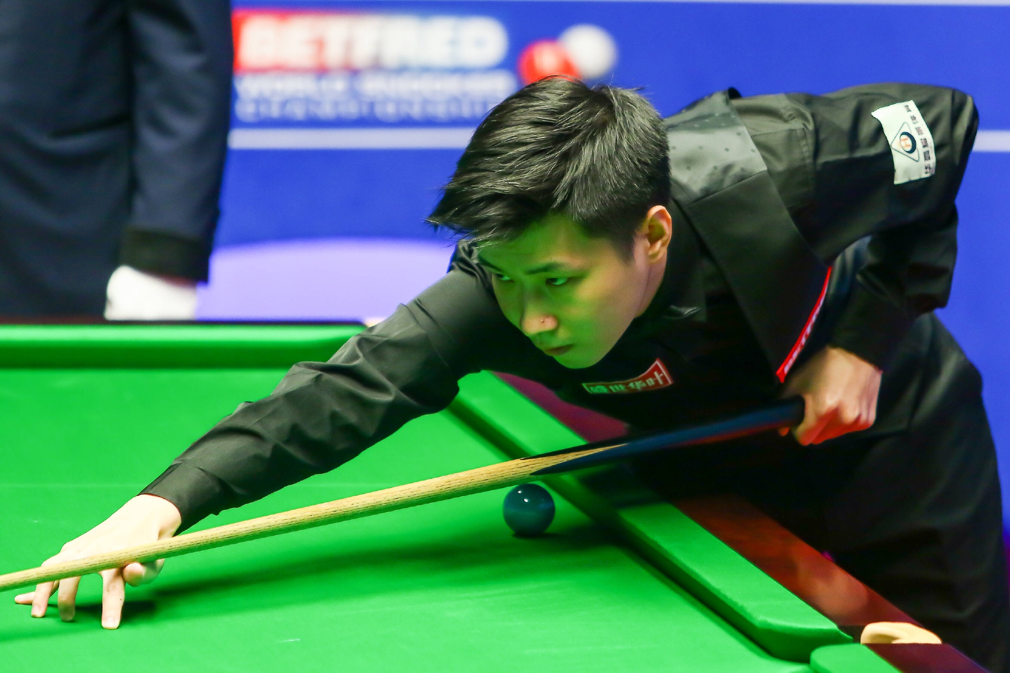 她们凭借冷 她们凭借冷