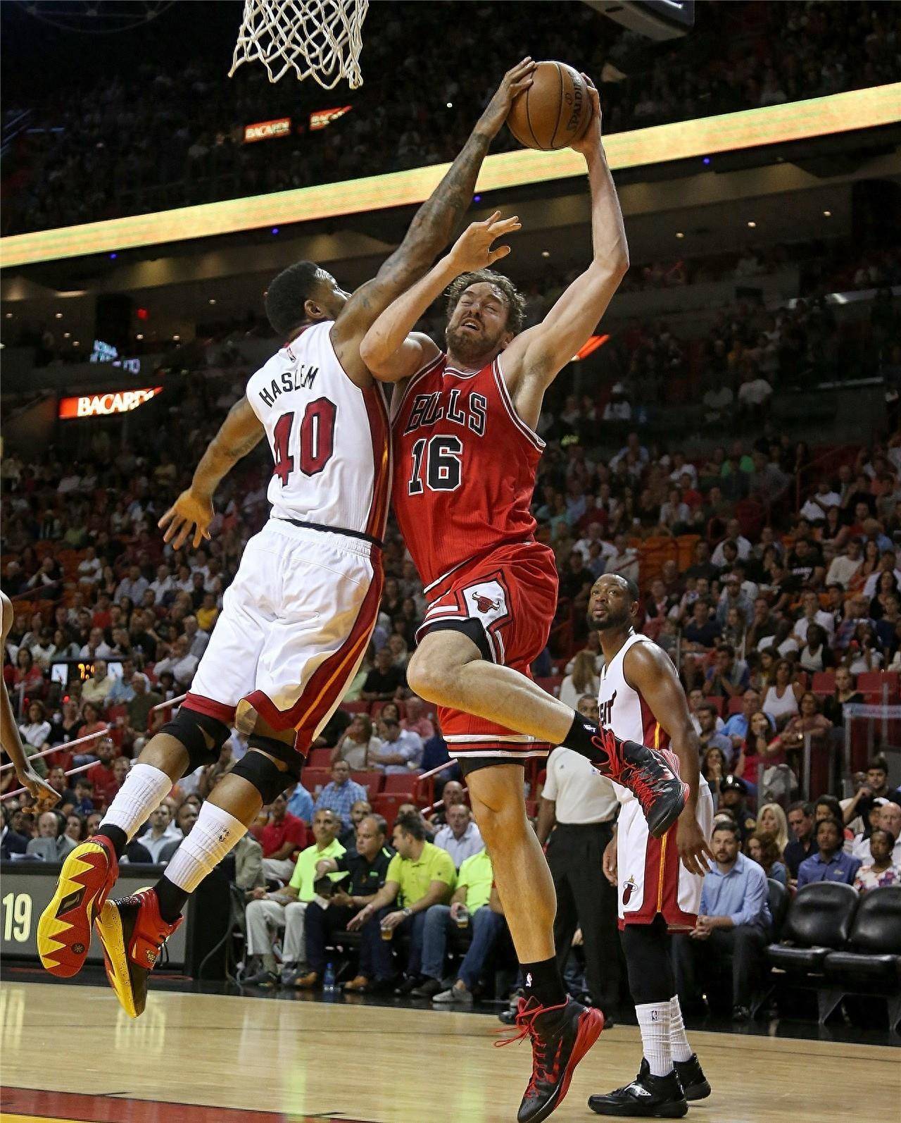 现代体育已 现代体育已