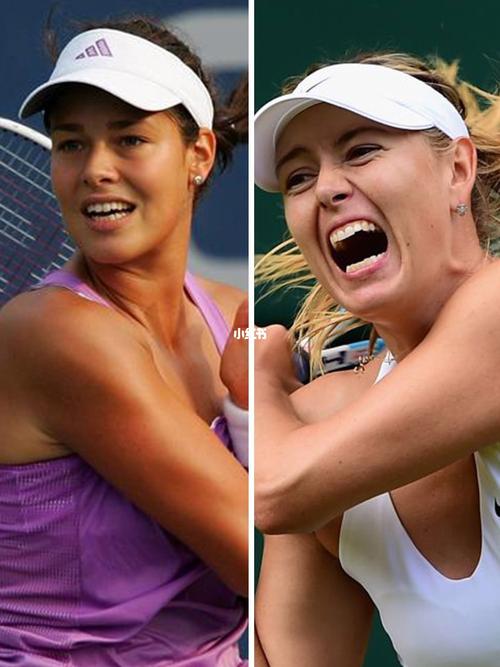 着与中国篮 着与中国篮